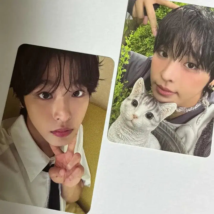 [BUNJANG] NCT Wish Album Photocard Bundle Set / 엔위시 탈덕처분 랜박