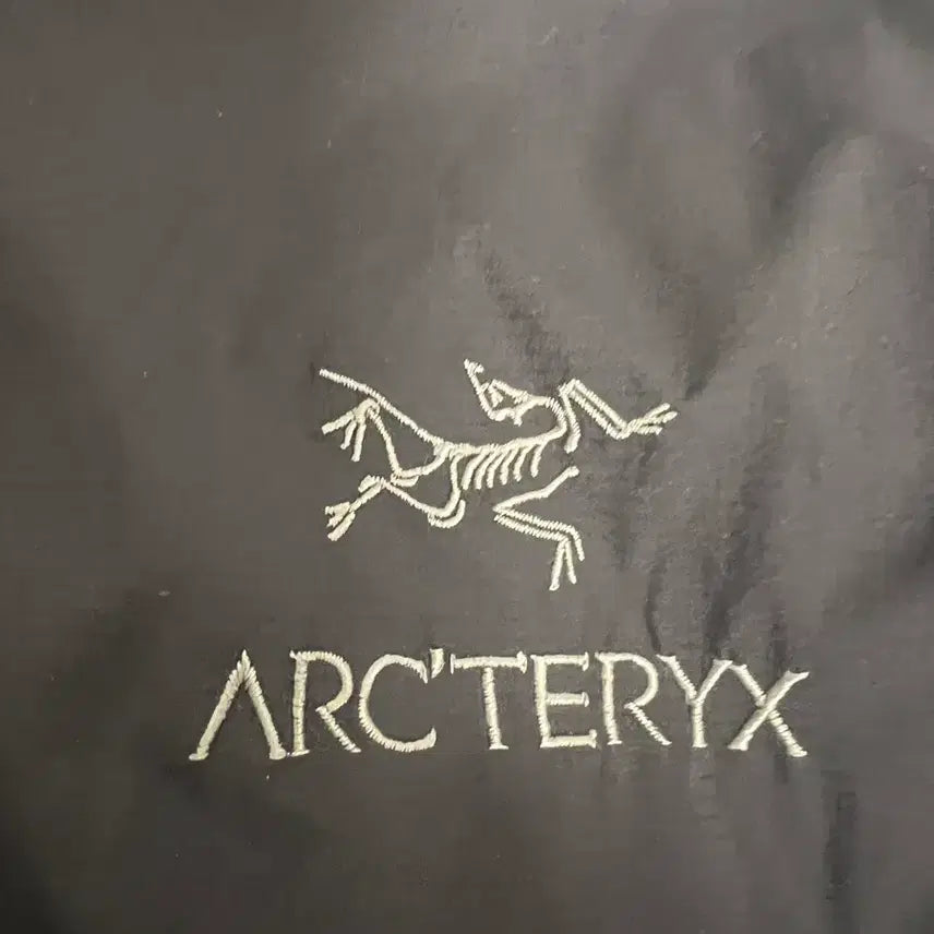 [BUNJANG] Arc'teryx Atom LT Black Large / 아크테릭스 아톰 LT 블랙 라지
