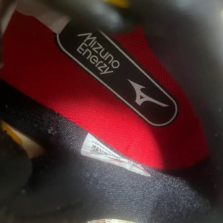 [BUNJANG] Nike Kobe 5 Protro Bruce Lee Basketball Shoes / 코비5 프로트로 브루스리 (280)