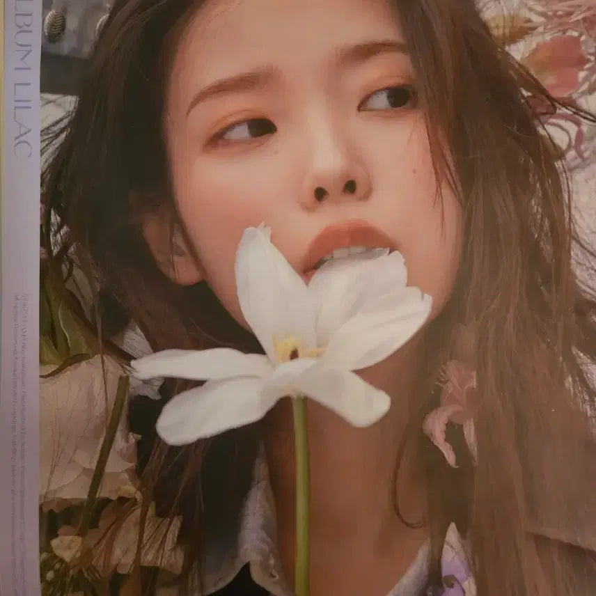 [BUNJANG] IU LILAC Album Bundle Set / 아이유 정규 5집 LILAC 라일락 일괄