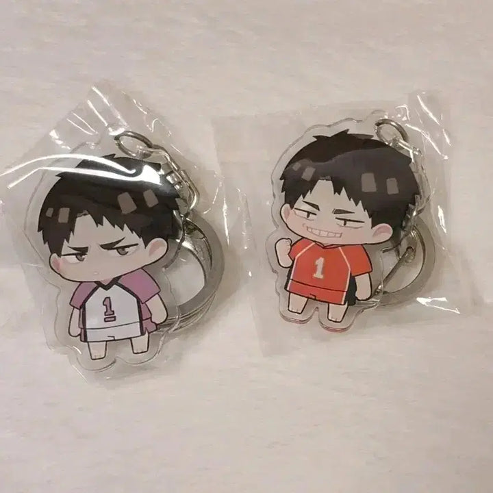 [SOLD OUT] 하이큐 우시지마 비공식 아크릴 키링 일괄