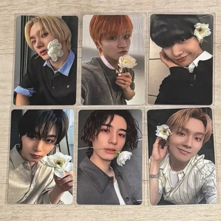 [BUNJANG] Bonekdo D-Action Weverse special special sale in bulk / 보넥도 디액션 위버스 특전 일괄 판매