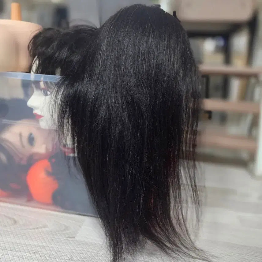 [BUNJANG] OGL 21-inch Wig / 오지엘 인모100% 21인지 가발