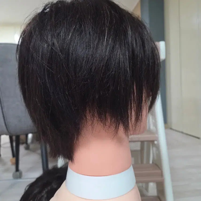 [BUNJANG] OGL 21-inch Human Hair Wig / 오지엘 100% 인모 가발 21인지