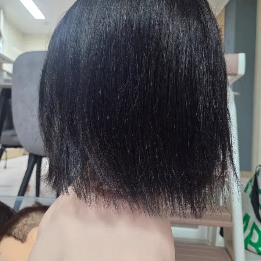 [BUNJANG] OGL 21-inch Human Hair Wig / 오지엘 100% 인모 가발 21인지
