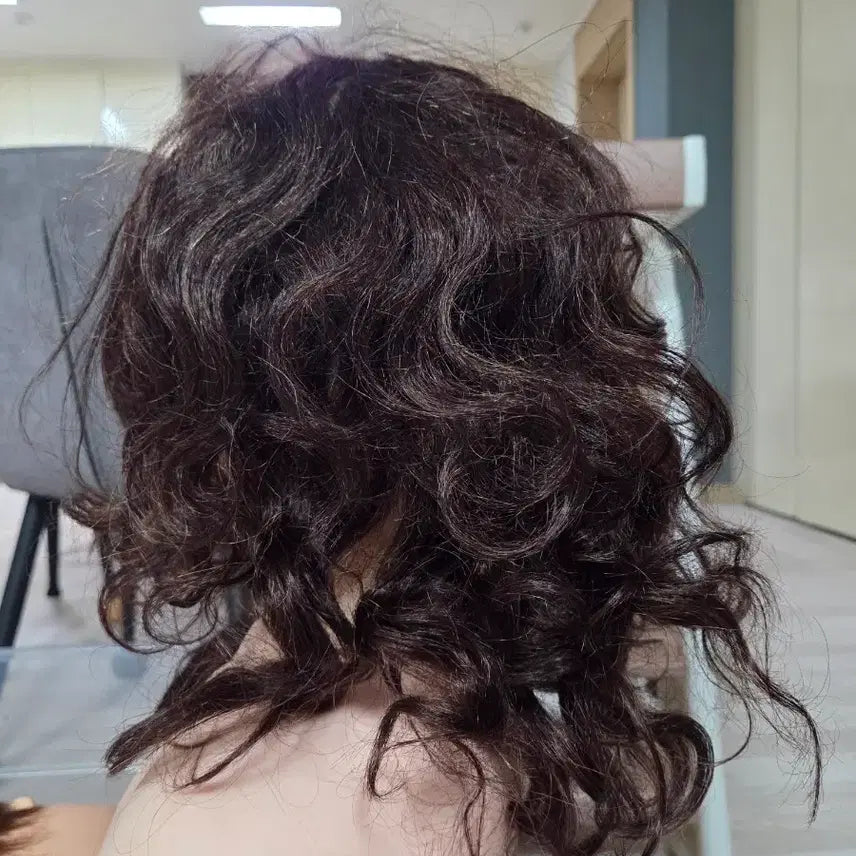[BUNJANG] OGL 21-inch Human Hair Wig / 오지엘 100% 인모 가발 21인지