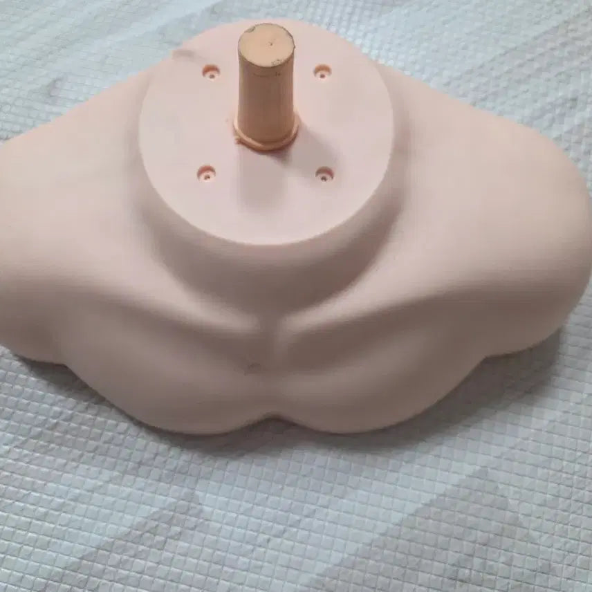 [BUNJANG] OGL 21-inch Human Hair Wig / 오지엘 100% 인모 가발 21인지