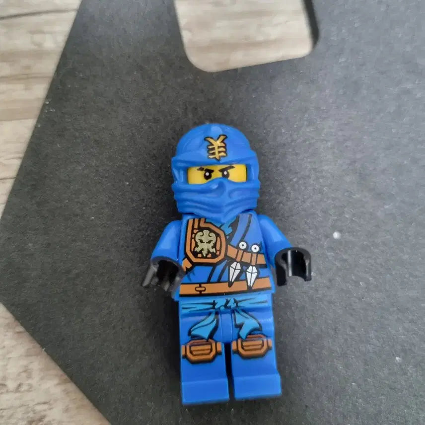 [BUNJANG] Ninjago Jay Jungle Gi / 레고 닌자고 정글도복 제이