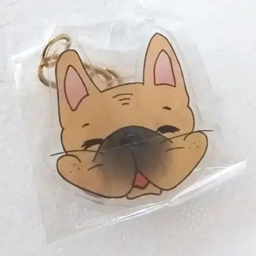 [SOLD OUT] 김세정 팬싸 당첨자 한정 키링