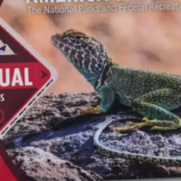 [BUNJANG] National Park Annual Pass / 미국 국립공원 애뉴얼패스