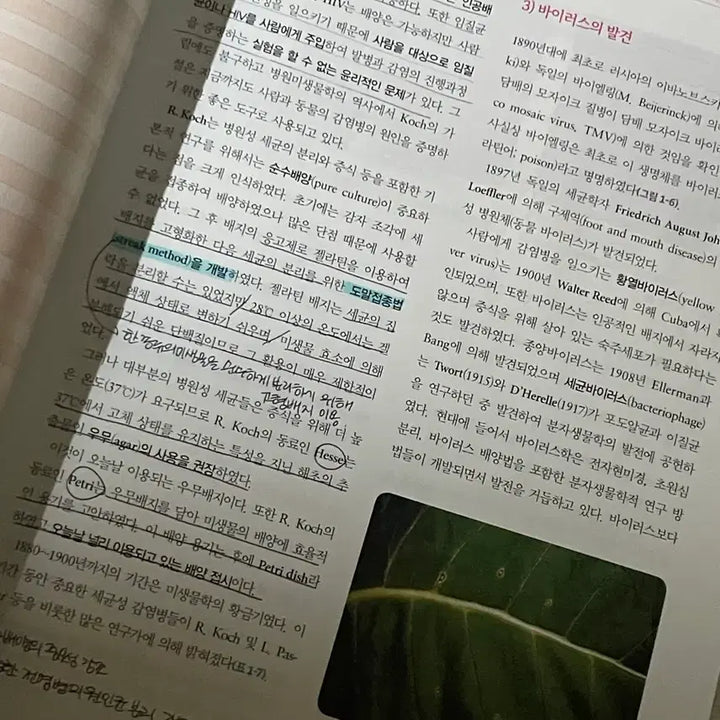 [BUNJANG] Hospital Microbiology / 수문사 최신 병원미생물학