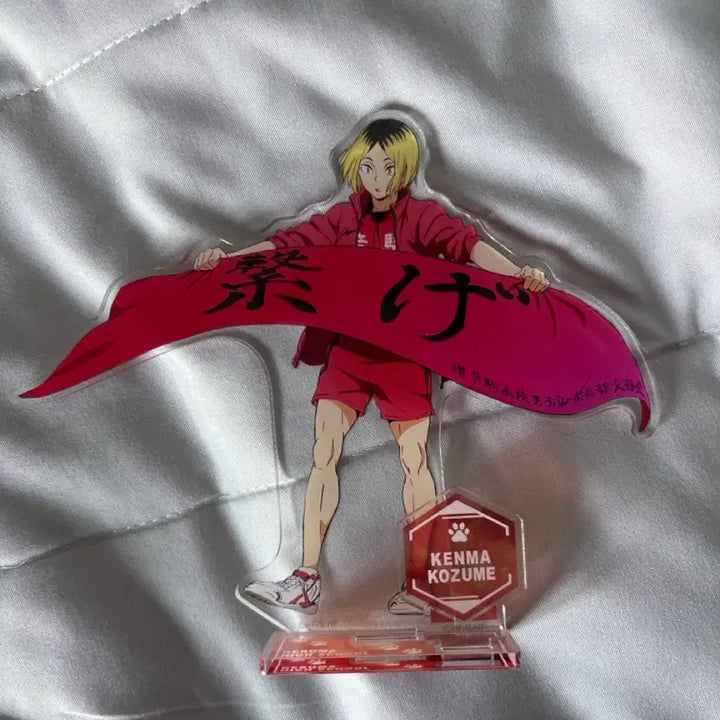 [BUNJANG] Haikyu Kozume Kenma Bundle Set Goods / 하이큐 코즈메 켄마 굿즈 일괄 판매
