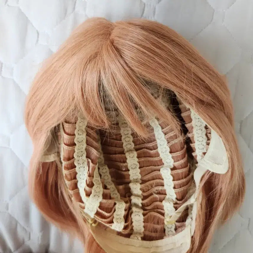 [BUNJANG] Cosplay Wig Bundle Set / 코스프레 가발 5개 일괄 처분가 세일(아냐,카이토, 홍장미, 지뢰계 등)