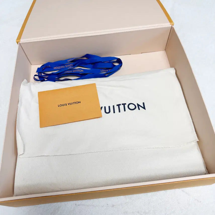 [BUNJANG] Louis Vuitton Pochette Jour GM Clutch / 루이비통 포쉐트 주르 파우치 GM (클러치백)