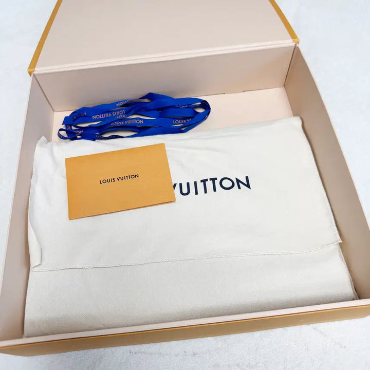 [BUNJANG] Louis Vuitton Pochette Jour GM Clutch / 루이비통 포쉐트 주르 파우치 GM (클러치백)
