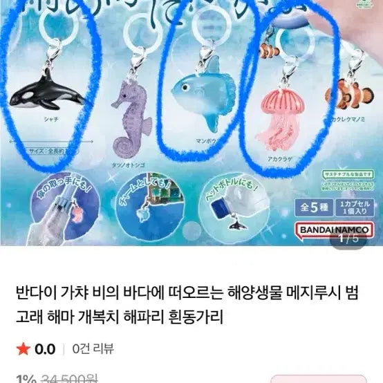 [SOLD OUT] 바다생물 해양생물 메지루시 범고래 해파리 가챠 메지루시 키링 반다