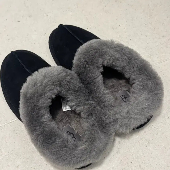 [BUNJANG] UGG Boots US6 EU37 / 어그 신발 어그 부츠 UGG 신발 UGG 부츠