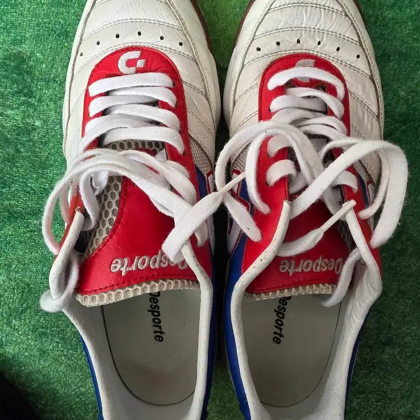 [BUNJANG] Desporte 250 / 데스포르치250