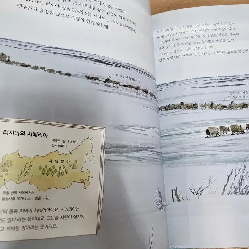 [BUNJANG] World Culture Revised Edition Set / 역지사지 세계문화 개정판 전집