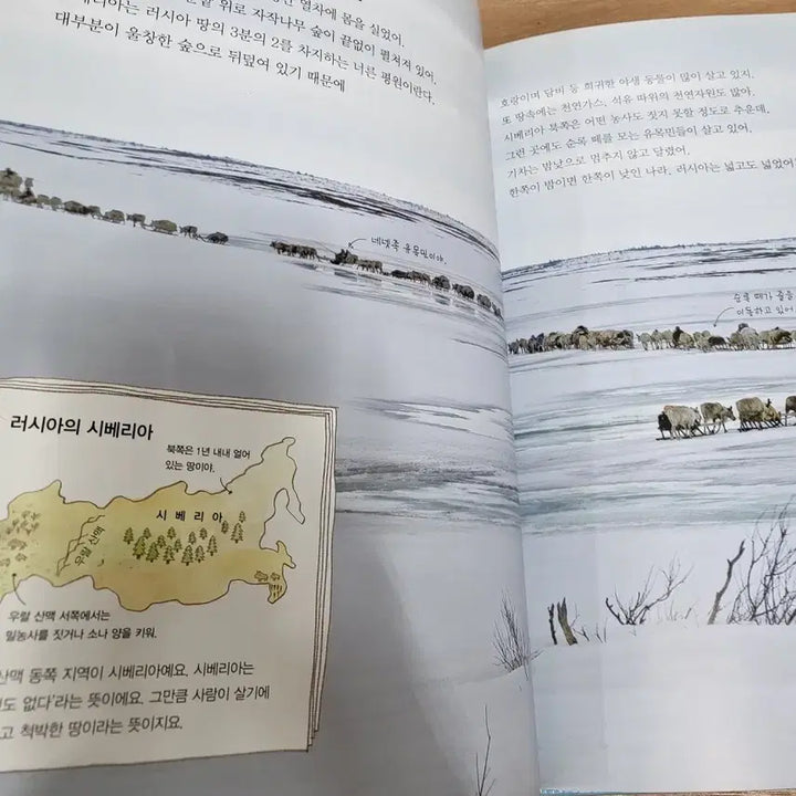 [BUNJANG] World Culture Revised Edition Set / 역지사지 세계문화 개정판 전집