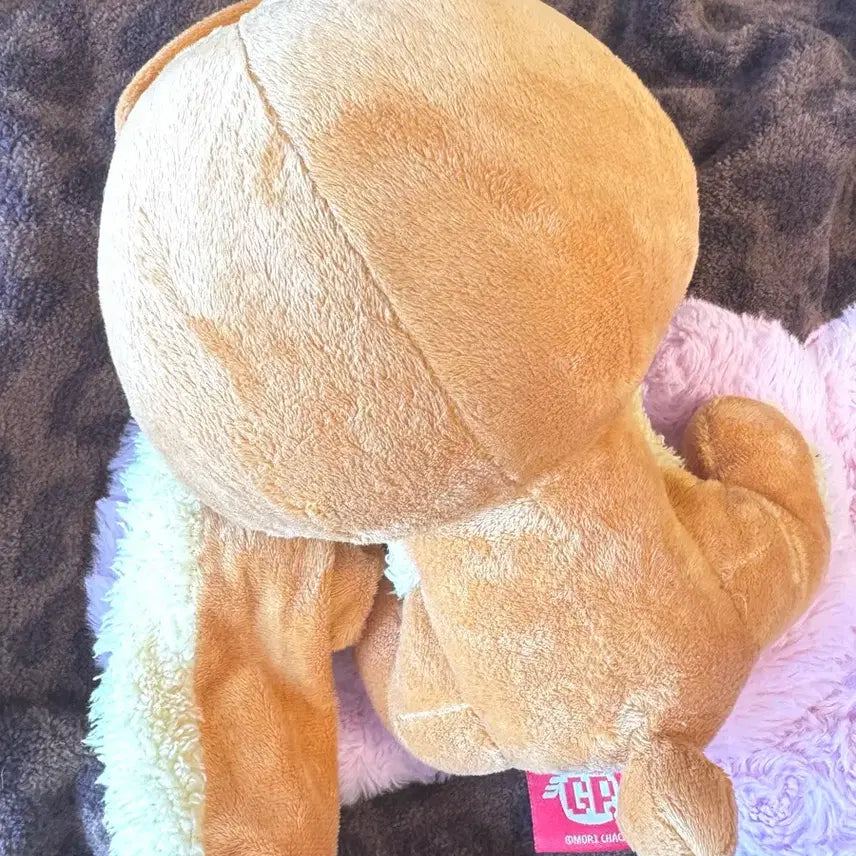 [BUNJANG] Gloomy Bear Valentine's Edition Rare Mustang Plush Toy / 유일매물!! 범용토끼 글루미베어 무스탕 극레어 타이토 인형 발렌타인