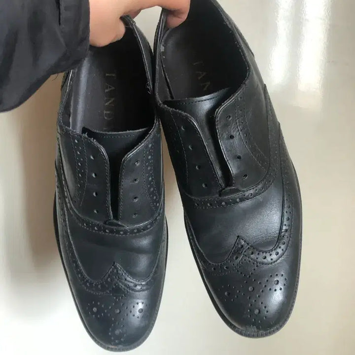 [BUNJANG] Rockport Wingtip Shoes 255 / 락포트 구두 윙티 255