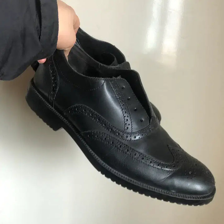[BUNJANG] Rockport Wingtip Shoes 255 / 락포트 구두 윙티 255