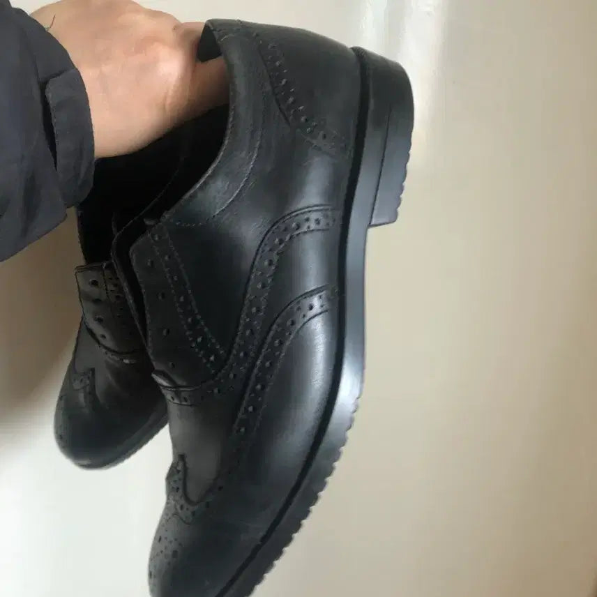 [BUNJANG] Rockport Wingtip Shoes 255 / 락포트 구두 윙티 255