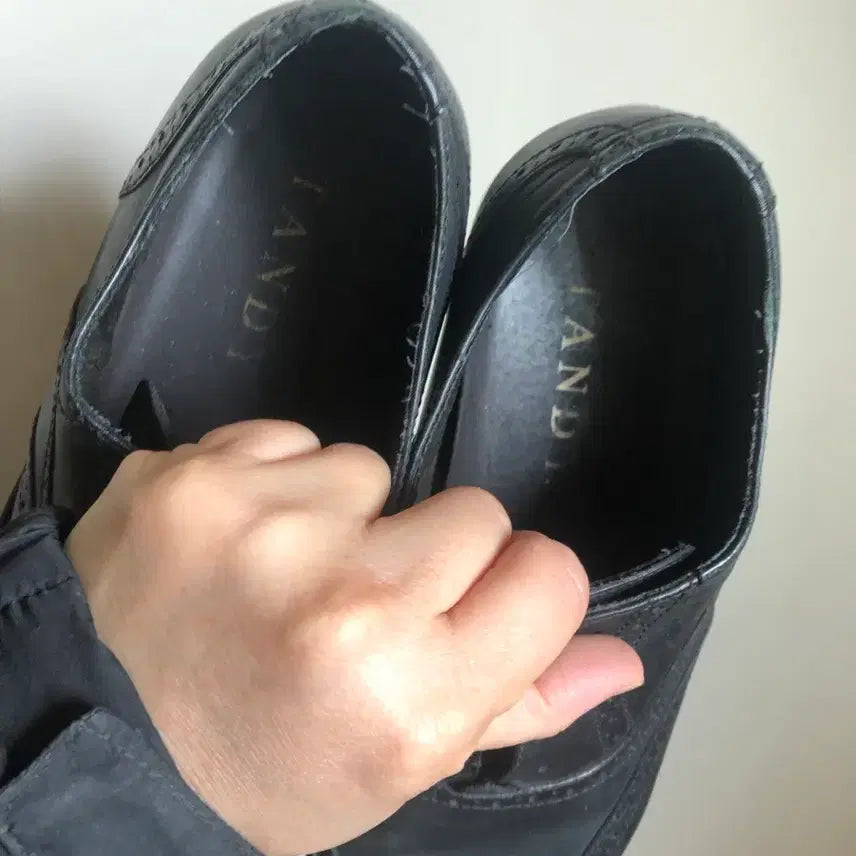 [BUNJANG] Rockport Wingtip Shoes 255 / 락포트 구두 윙티 255