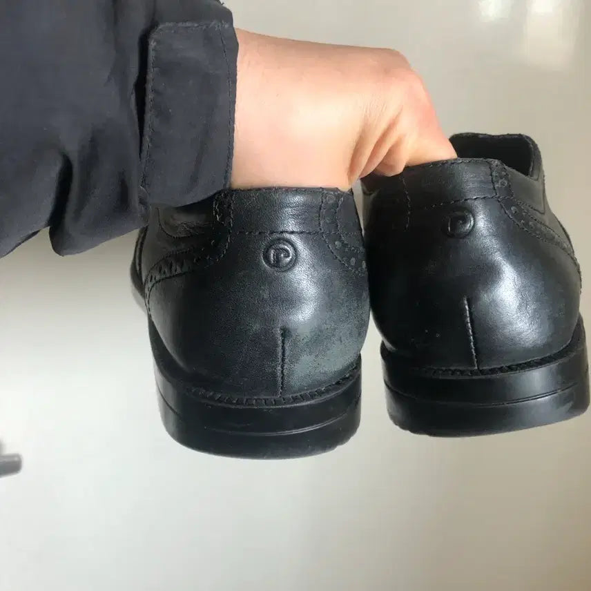 [BUNJANG] Rockport Wingtip Shoes 255 / 락포트 구두 윙티 255