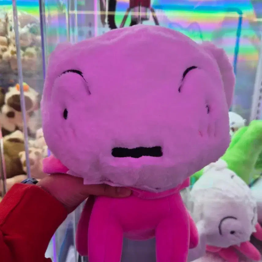 [BUNJANG] ENHYPEN Heesung White Puppy Medium Plush Doll / 흰둥이 중형인형 판매합니다