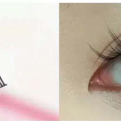 [BUNJANG] Lashes (Set of 3) / 속눈썹 세통 팔아요!