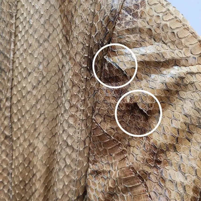 [BUNJANG] Miu Miu Snake Skin Mink Trim Coat / (정품)미우미우 뱀피 무늬 밍크 트리밍 여성 코트
