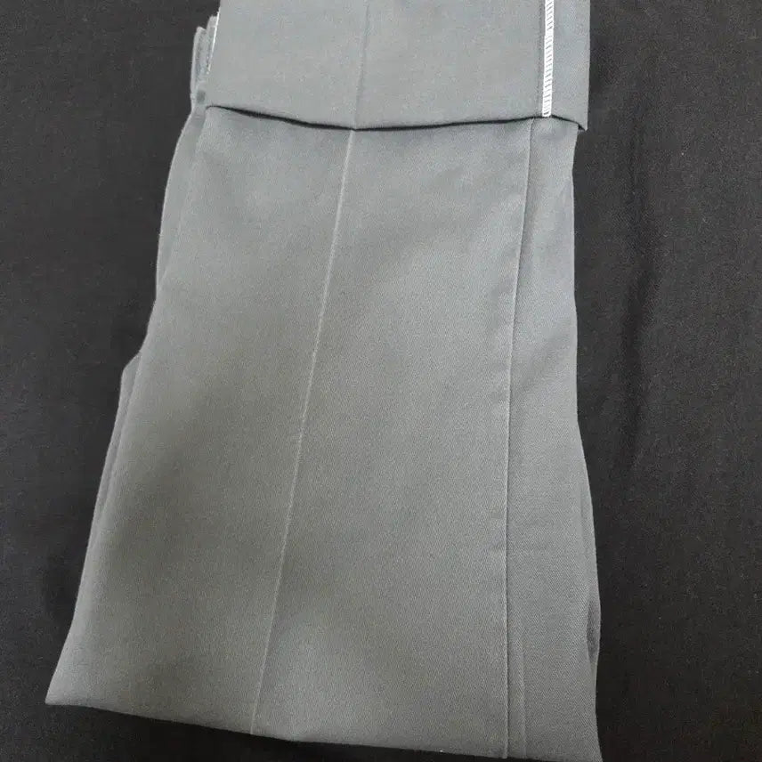 [BUNJANG] Dickies 874 Work Pants / [31x32] 디키즈 874 워크팬츠