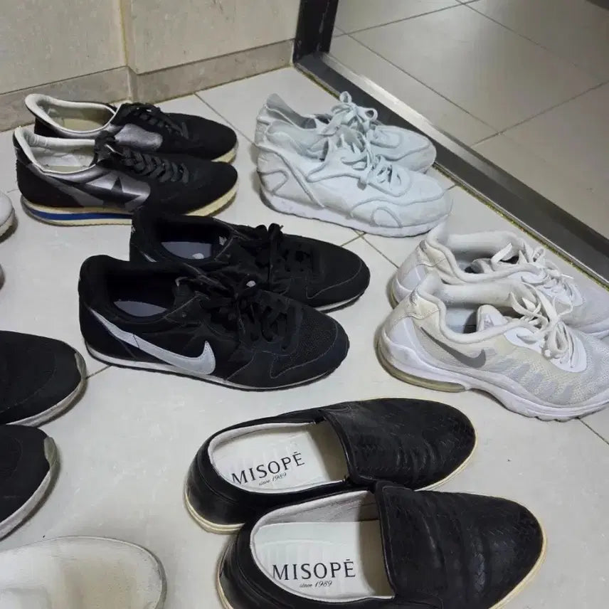 [BUNJANG] 260mm Socks (8 Pairs) / 260미리 8켤레