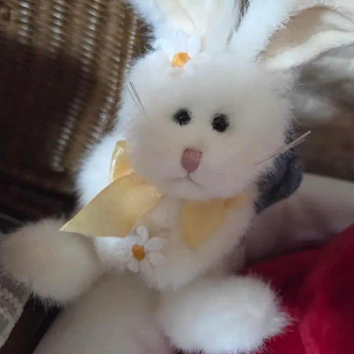 [BUNJANG] Boys Be The Best Daisy Rabbit Ornament / 보이즈베어 데이지 토끼 오너먼트