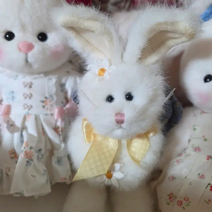 [BUNJANG] Boys Be The Best Daisy Rabbit Ornament / 보이즈베어 데이지 토끼 오너먼트