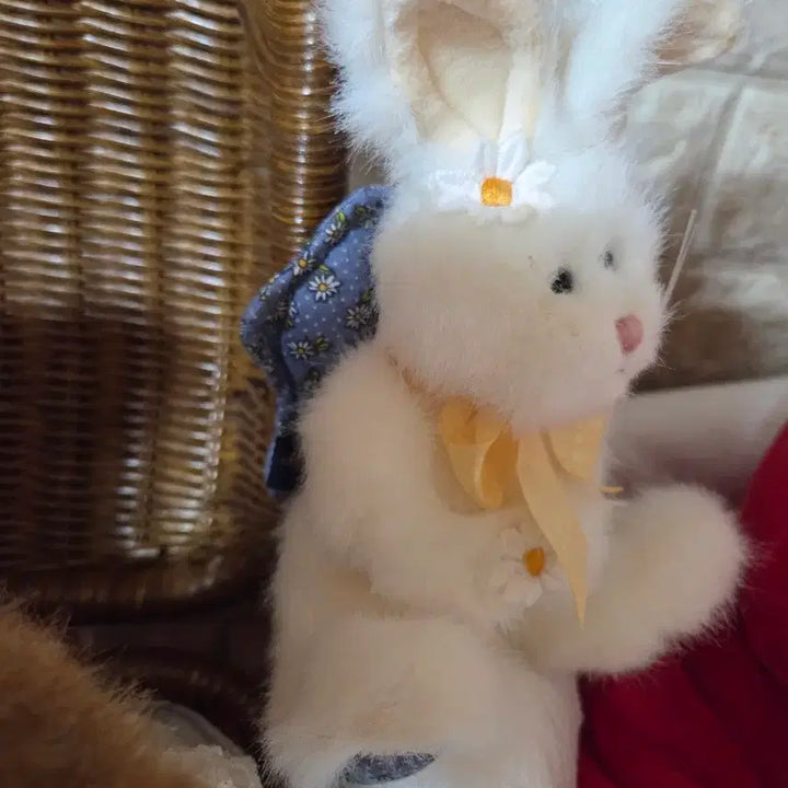 [BUNJANG] Boys Be The Best Daisy Rabbit Ornament / 보이즈베어 데이지 토끼 오너먼트