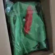 [BUNJANG] Peter Pan Cosplay Costume / 중고 성인 피터팬 코스프레 의상 판매합니다 졸업사진 행사 컨셉 옷 추천