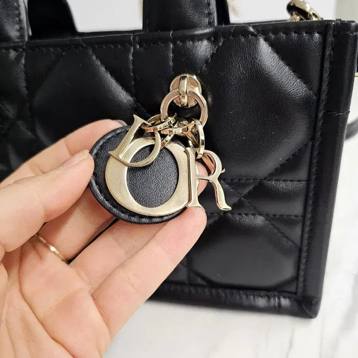 [BUNJANG] Dior Book Tote Mini / 디올 북도트 레더 까나쥬 새상품급