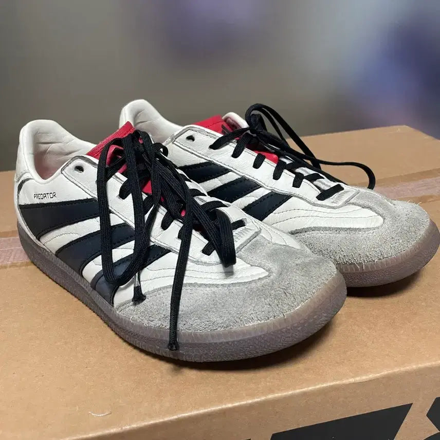 [BUNJANG] Adidas Predator Freestyle Indoor Shoes / 아디다스 프레데터 프리스타일 인도어화