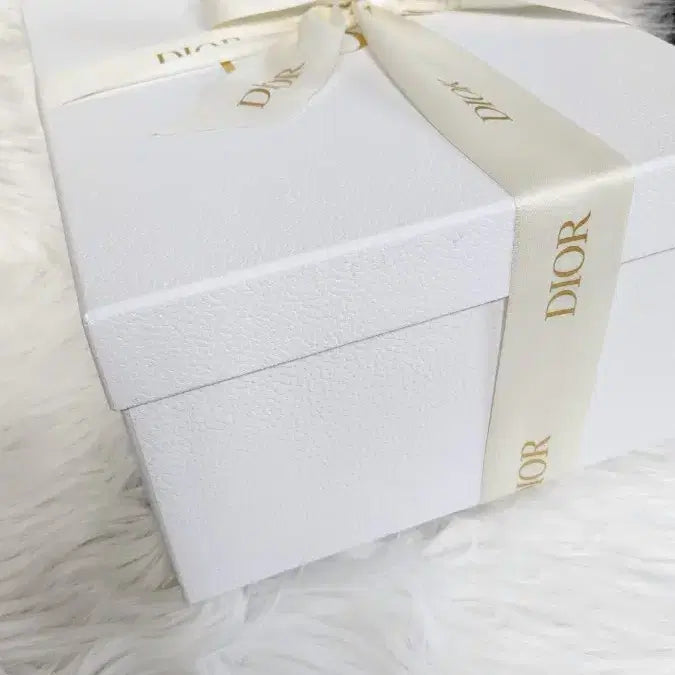 [BUNJANG] Dior Ready Bag Box Set / 10-1)디올가방박스 레디백라지 미듐박스셋트(1번자석박스셋트가격임)