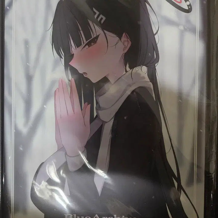 [BUNJANG] Blue Archive nenight Illustration Book / 블루아카이브 nenight작가 일러북입니다.