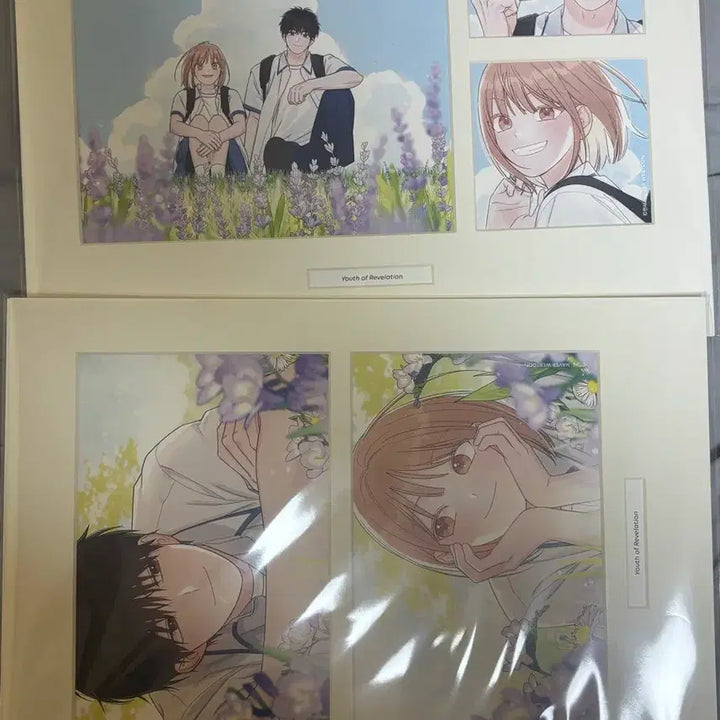 [BUNJANG] Young K Webtoon Cut Poster Bundle Set / 청춘계시록 웹툰 컷 포스터 라벤더,꽃받침 일괄