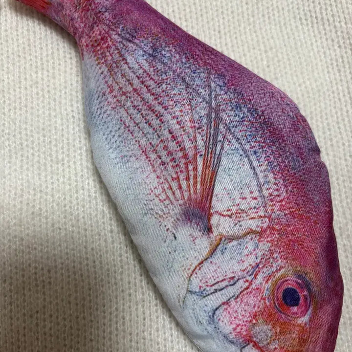 [BUNJANG] No valid information to process. / 생선 필통 팝니다