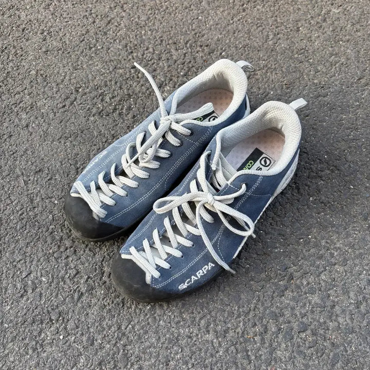 [BUNJANG] Scappa Mohito (240) / Scappa 스카르파 모히토 (240)