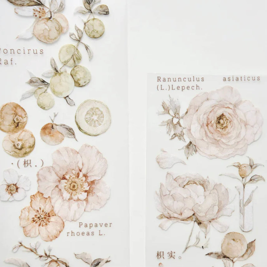 [BUNJANG] Frecklestea Tangerine PET Tape / 주근깨차 frecklestea vol3. 탠저린 귤 꽃마테 PET마테소분