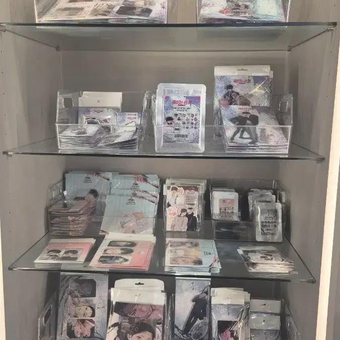 [BUNJANG] Toonique Spring Event MD / 부산 투니크 봄맞이 감사제(26.02.25~26.03.02)