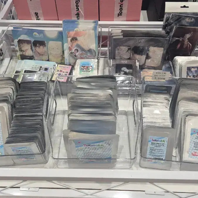 [BUNJANG] Toonique Spring Event MD / 부산 투니크 봄맞이 감사제(26.02.25~26.03.02)