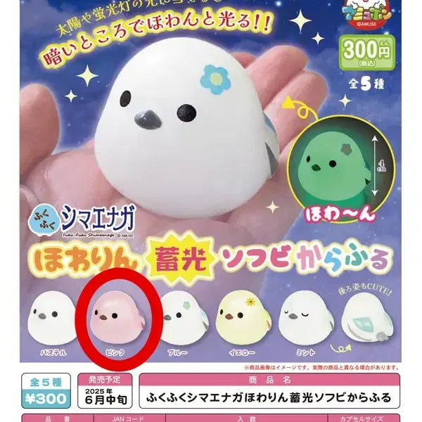 [BUNJANG] FukuFuku Shimaenaga Glow-in-the-Dark Figure / 오목눈이 뱁새 야광 피규어 가챠 후쿠후쿠 시마에나가 뽑기